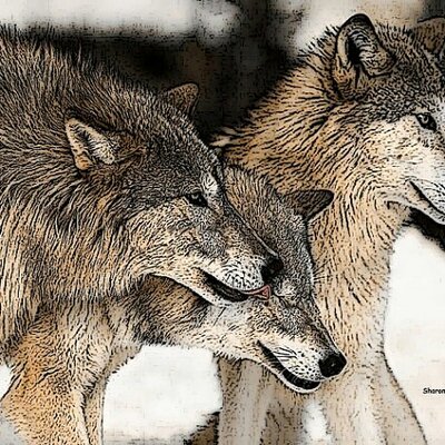 Profile Picture of Daniel Tonkin (@DanielTonkin21) on Twitter