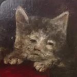 Profile Picture of Andrew K.T. Cheung (@andrew_kt_cheung) on Instagram