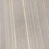 Profile Picture of Floor 🏳️‍⚧️ (@nathanendicott) on Tiktok
