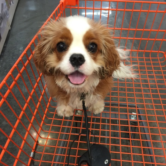 Profile Picture of Ginger Weber (@ginger_weber) on Poshmark