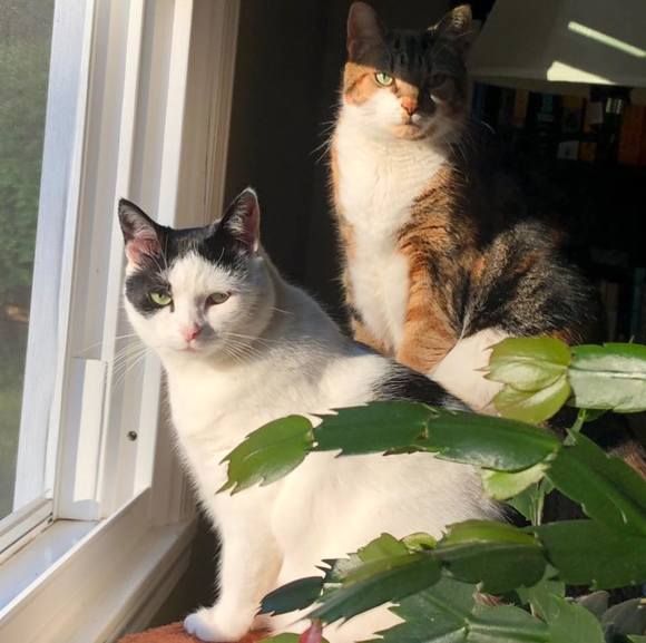 Profile Picture of Kimberly Maroldo (@kimmar41) on Poshmark