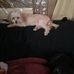 Profile Picture of LuAnn Squires (@luann.squires.37) on Facebook