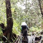 Profile Picture of Man Tong 82 (@mantong82) on Instagram