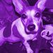Profile Picture of Julia Swank (@juliaswank) on Pinterest
