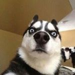 Profile Picture of Robin Gao (@robin_gao_imaginato) on Instagram