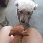 Profile Picture of margô e happy (@margoyhappy_dix) on Instagram