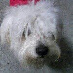 Profile Picture of NATHAN PURVIS (@thor_v1) on Instagram