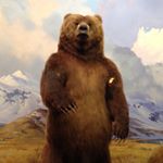 Profile Picture of Michael Campagna (@campagnamike) on Instagram