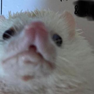 Profile Picture of Michael Westby (@Michael-Westby) on Facebook