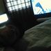 Profile Picture of Eric Sipes (@eric.sipes.585) on Facebook