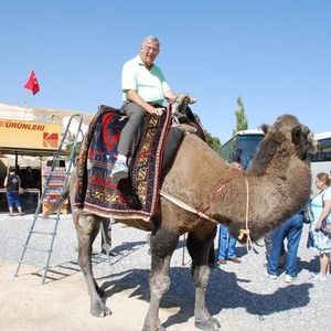 Profile Picture of W. David Hanisco (@311871087) on Myspace