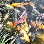 Profile Picture of Marlene Clark (@marlene.clark) on Instagram