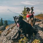 Profile Picture of Keeko & Merley (@keeko_and_merley) on Instagram