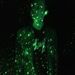Profile Picture of Nicholas Hummel (@nickrhummel) on Pinterest