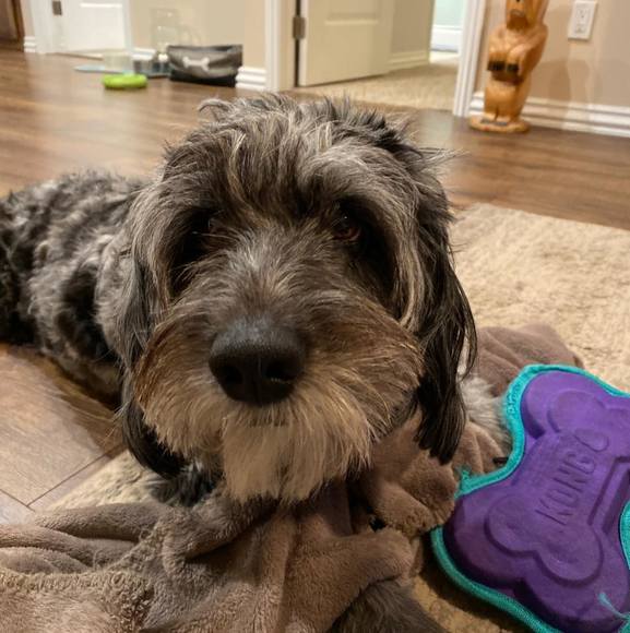 Profile Picture of Amara Huntley (@ahuntley2530) on Poshmark