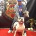 Profile Picture of Tony Gullo (@tony.gullo.92) on Facebook