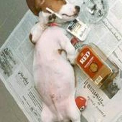 Profile Picture of Brian Darnall (@noTme220) on Twitter