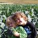 Profile Picture of Crystal Trombley (@ltrombley7) on Pinterest