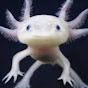 Profile Picture of Robert Barron (@@Bonesmann1) on Tiktok