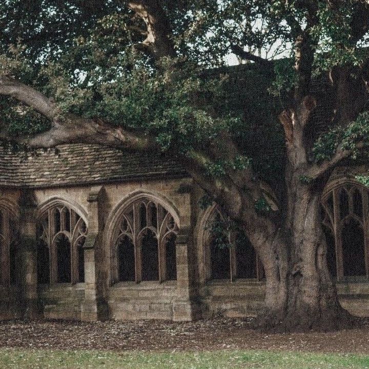 Profile Picture of hogwarts_dungeons (@hogwarts_dungeons) on Tiktok