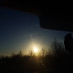 Profile Picture of Max Freitag (@max_freitag_2000) on Instagram