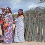 Profile Picture of Andres Tarazona (@ware_wayuu) on Instagram