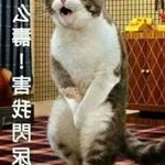 Profile Picture of 1 follower (@jose.perfecto.7547) on Instagram