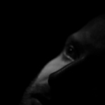 Profile Picture of Richard Desmond (@Ricardo D198) on Flickr