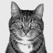 Profile Picture of Lani Wright (@lanilanilanix) on Youtube