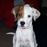 Profile Picture of Scott Mencken (@menckenscott) on Instagram