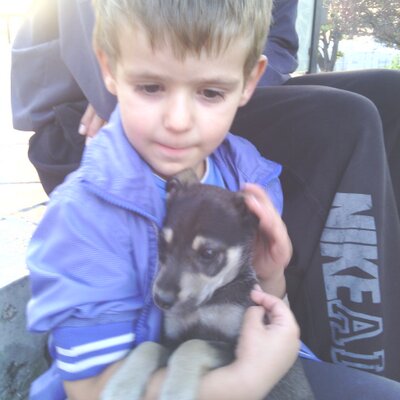 Profile Picture of Nikola Stojanovic (@Dzonny88) on Twitter