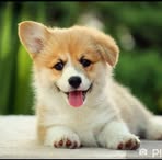 Profile Picture of Marika Maj (@marika.maj.9693) on Facebook