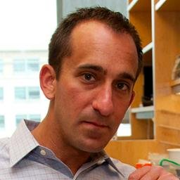 Profile Picture of Michael Fischbach (@mfgrp) on Twitter