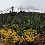 Profile Picture of Debra Calhoun (@dcalhounis) on Flickr