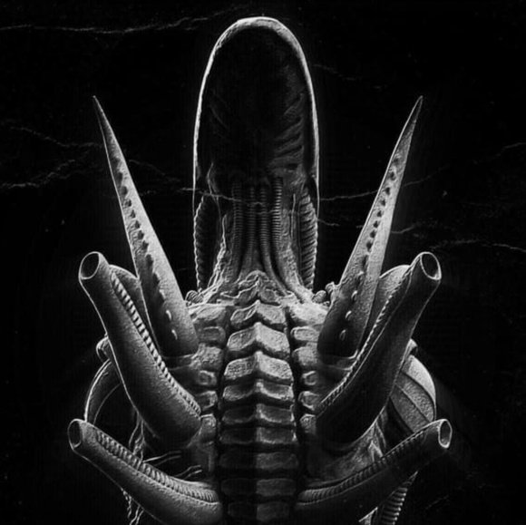 Zero Zero - Poshmark Profile Picture of Zero Zero (@zeroing1909) on Poshmark