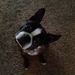 Profile Picture of Helene Hatch (@hatchhel000) on Pinterest