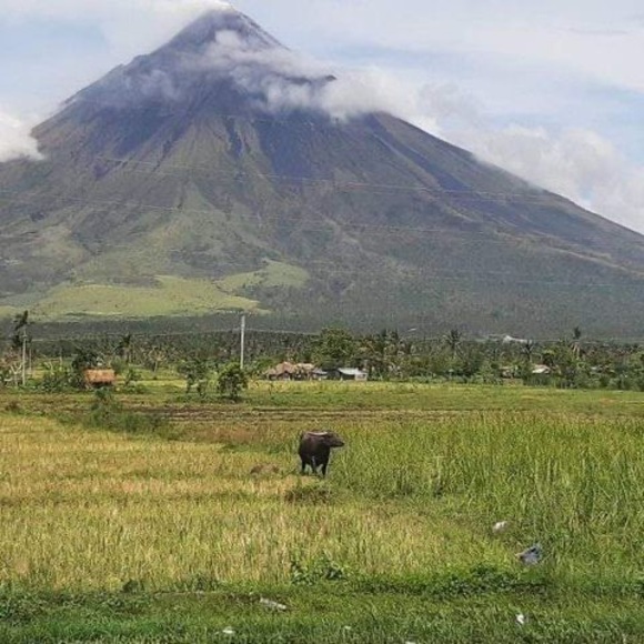 Profile Picture of Jaypee Abano (@jaypeeabano) on Poshmark