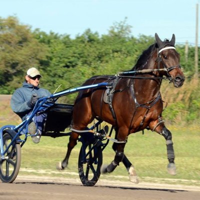 Profile Picture of Travis Alexander (@talexstable) on Twitter