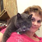 Profile Picture of Rhonda Bohack Hamrick (@bohackhamrick) on Instagram