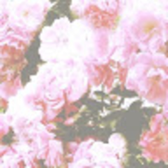 Danielle Penney - Poshmark Profile Picture of Danielle Penney (@danielle_penney) on Poshmark