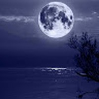 Profile Picture of Kim Blais (@kim-blais-8) on Quora