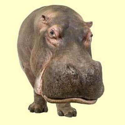 Tzu Hwa, Henry, Chao - Twitter Profile Picture of Tzu Hwa, Henry, Chao (@thhchao) on Twitter