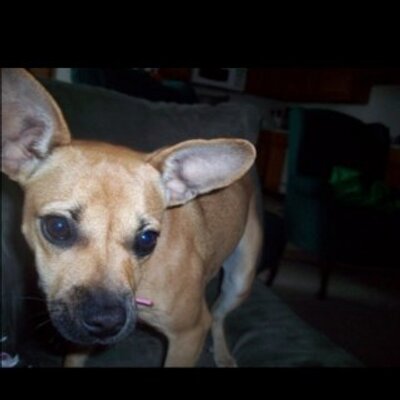 Profile Picture of Jorge Moody (@jade60000000000) on Twitter