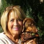 Profile Picture of Diane Lovelace (@lovelacedeedee) on Instagram