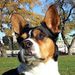 Profile Picture of Alexander Steeves-Fuentes (@alexandersteevesfuentes) on Pinterest