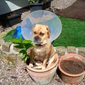 Profile Picture of Derek Germann (@slyjoey1) on Pinterest