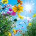 Profile Picture of Marilyn Sinclair (@marilyn.sinclair.773) on Facebook