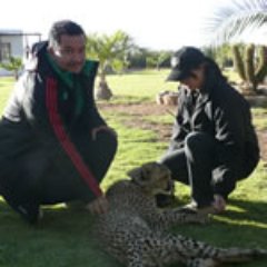 Roberto León Jasso - Twitter Profile Picture of Roberto León Jasso (@armando87aero) on Twitter