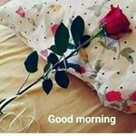 Profile Picture of bhaskerpatel (@bhaskarpatel11122) on Instagram