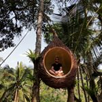 Profile Picture of Alex Hanley (@the_bearded_coach_) on Instagram